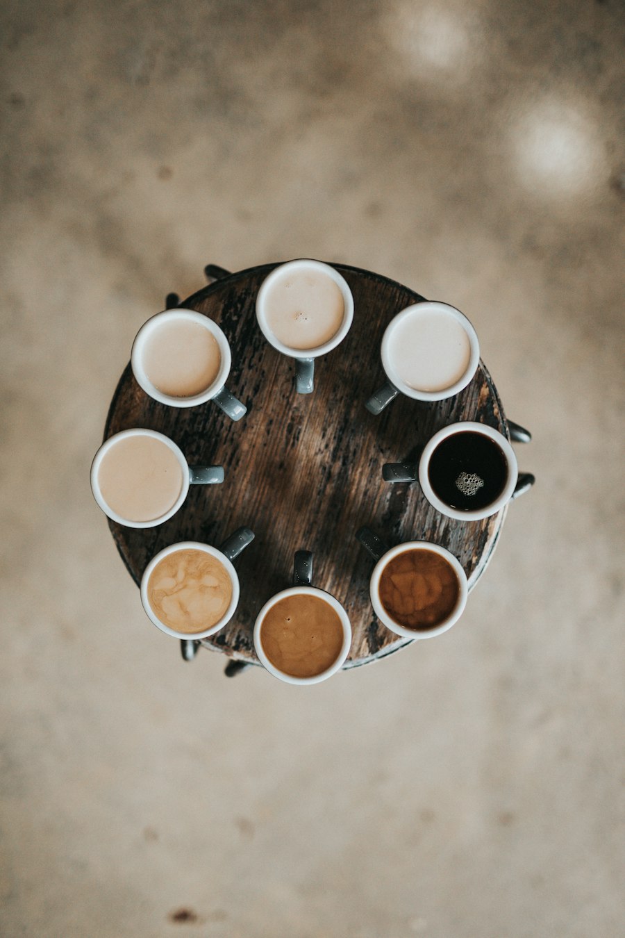 Coffee cupping — cups arranged for tasting
